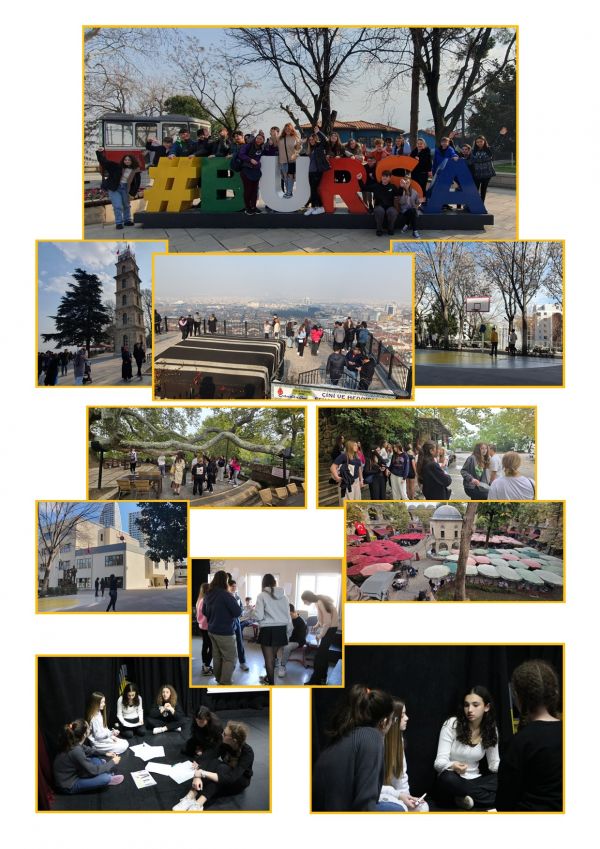 6 New photos for website from Mick